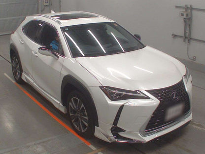 LEXUS UX300E