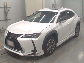 LEXUS UX300E