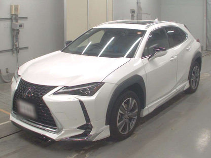 LEXUS UX300E