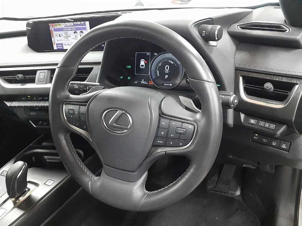 LEXUS UX300E