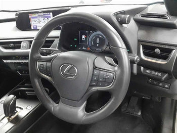 LEXUS UX300E