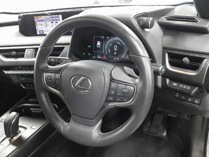 LEXUS UX300E