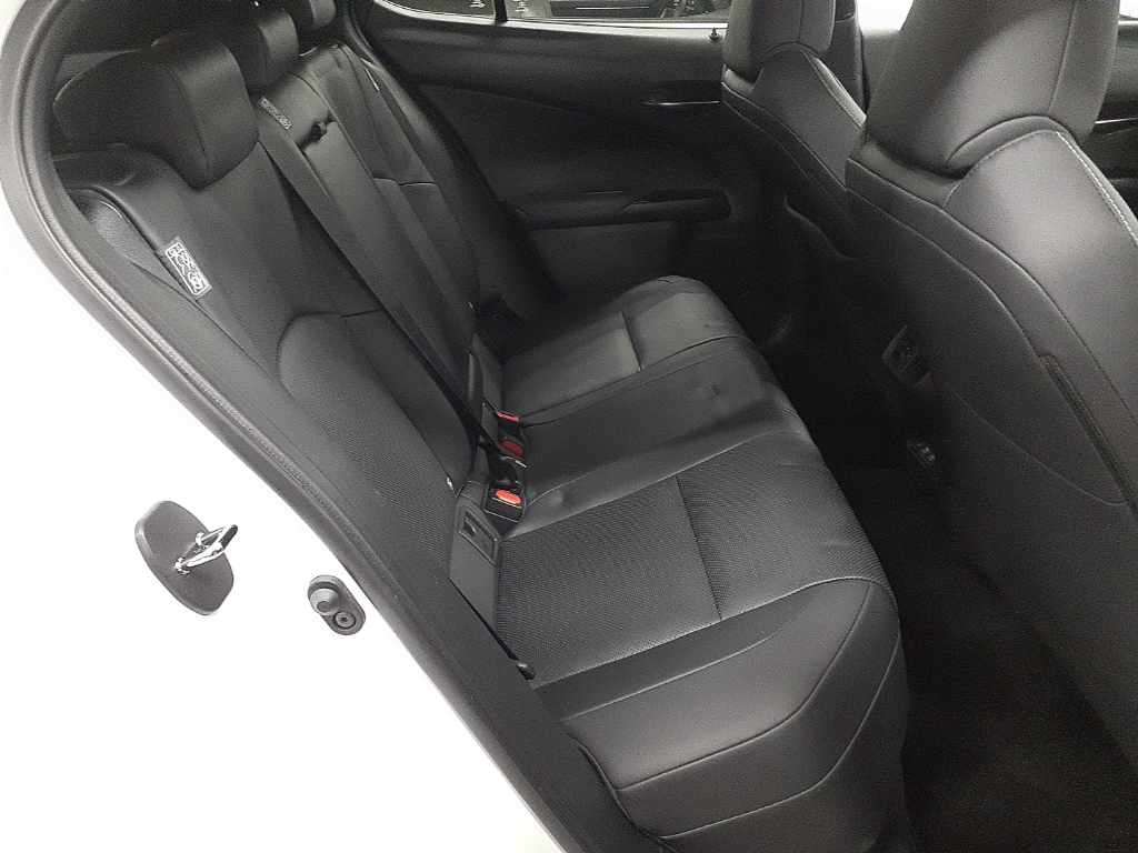 LEXUS UX300E