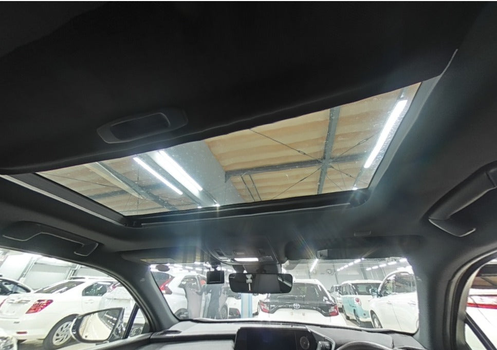 LEXUS UX300E