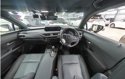 LEXUS UX300E