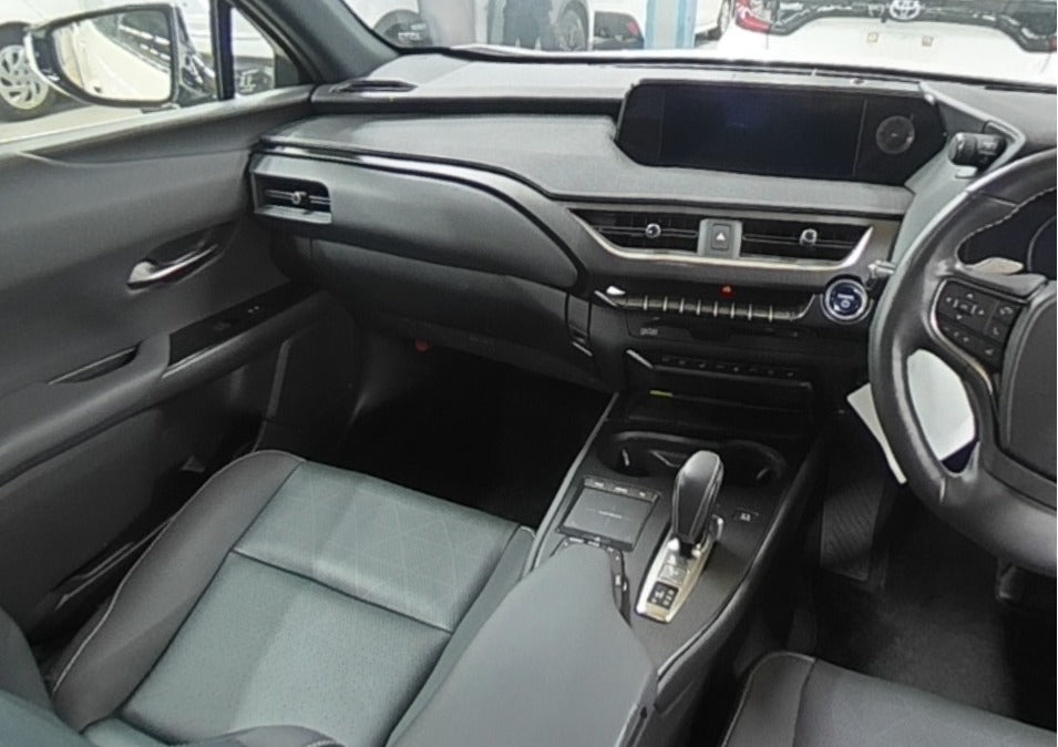 LEXUS UX300E