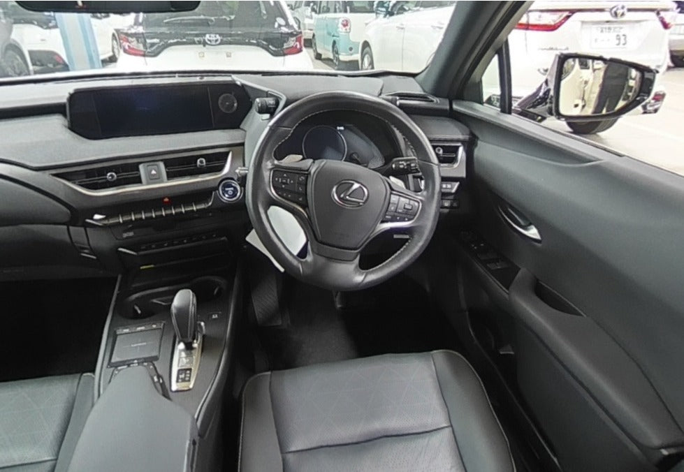 LEXUS UX300E