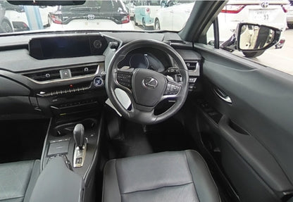 LEXUS UX300E