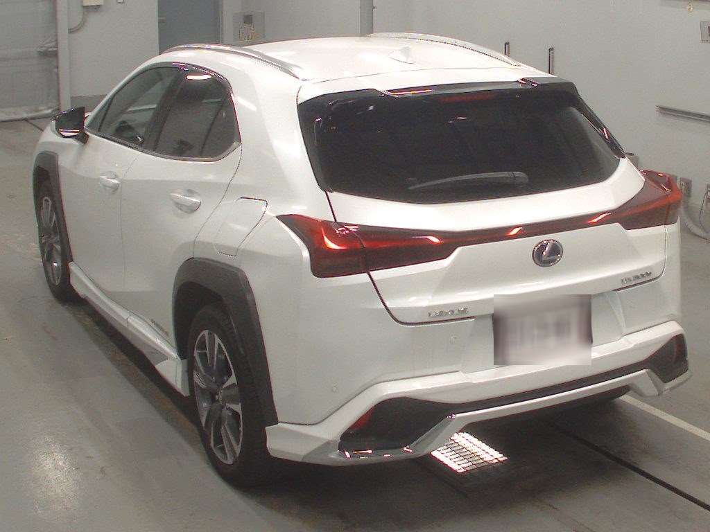 LEXUS UX300E
