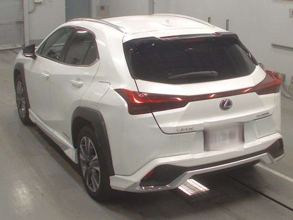 LEXUS UX300E