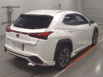 LEXUS UX300E
